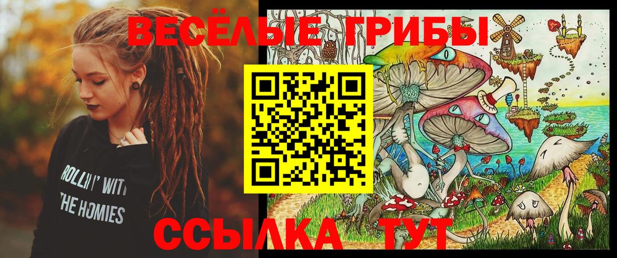 Галлюциногенные грибы мицелий  Вход с VPN  Ачхой-Мартан 